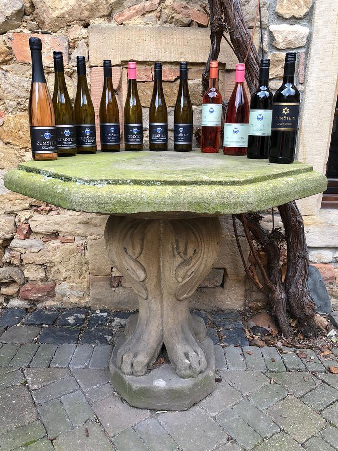 Hôtel Weingut Zumstein à Bad Dürkheim Extérieur photo